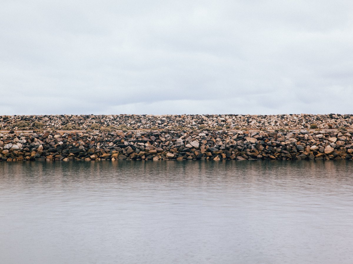 Candid Meditations (Reflection)