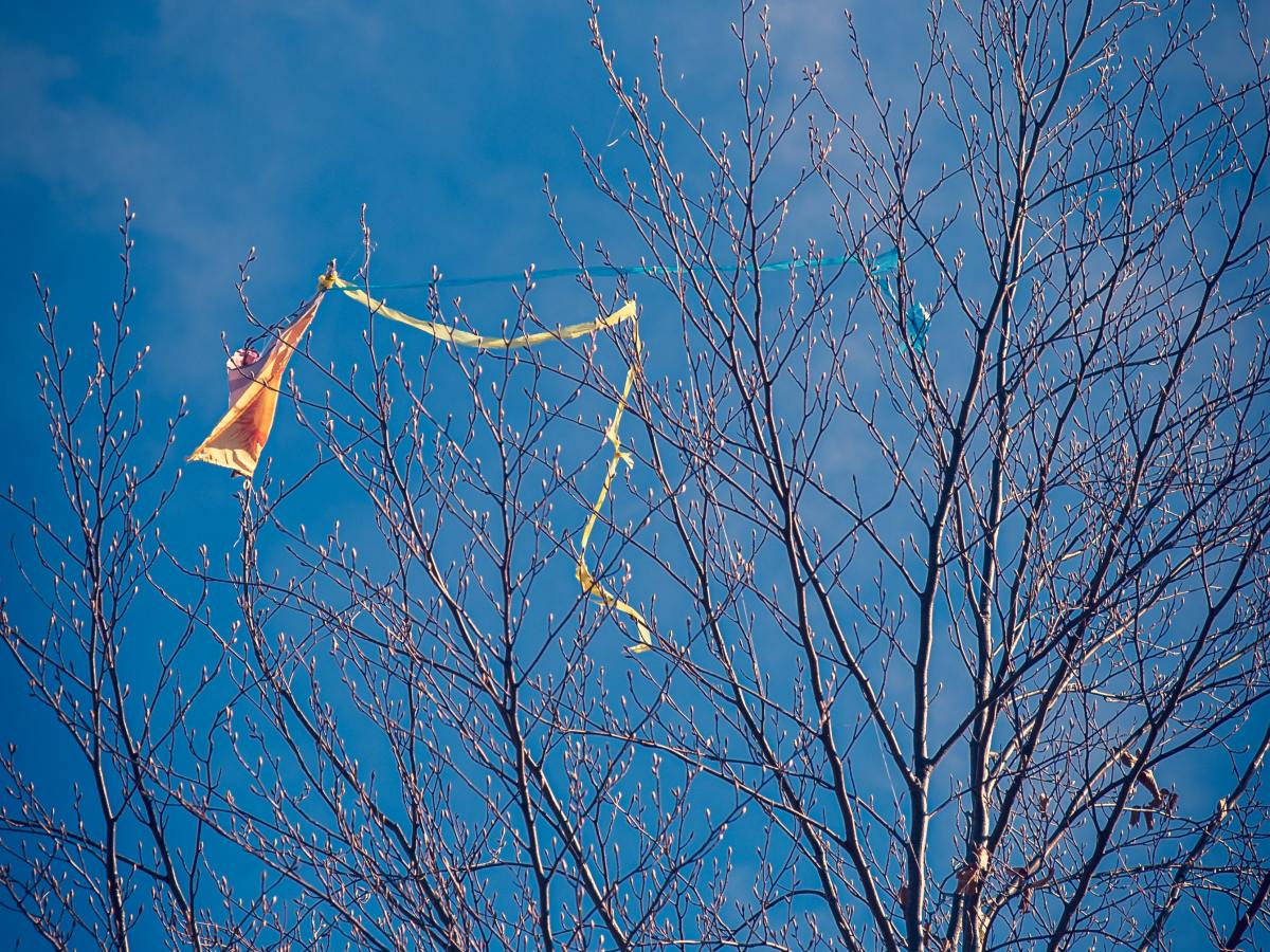 Spring Eternal (Poem)