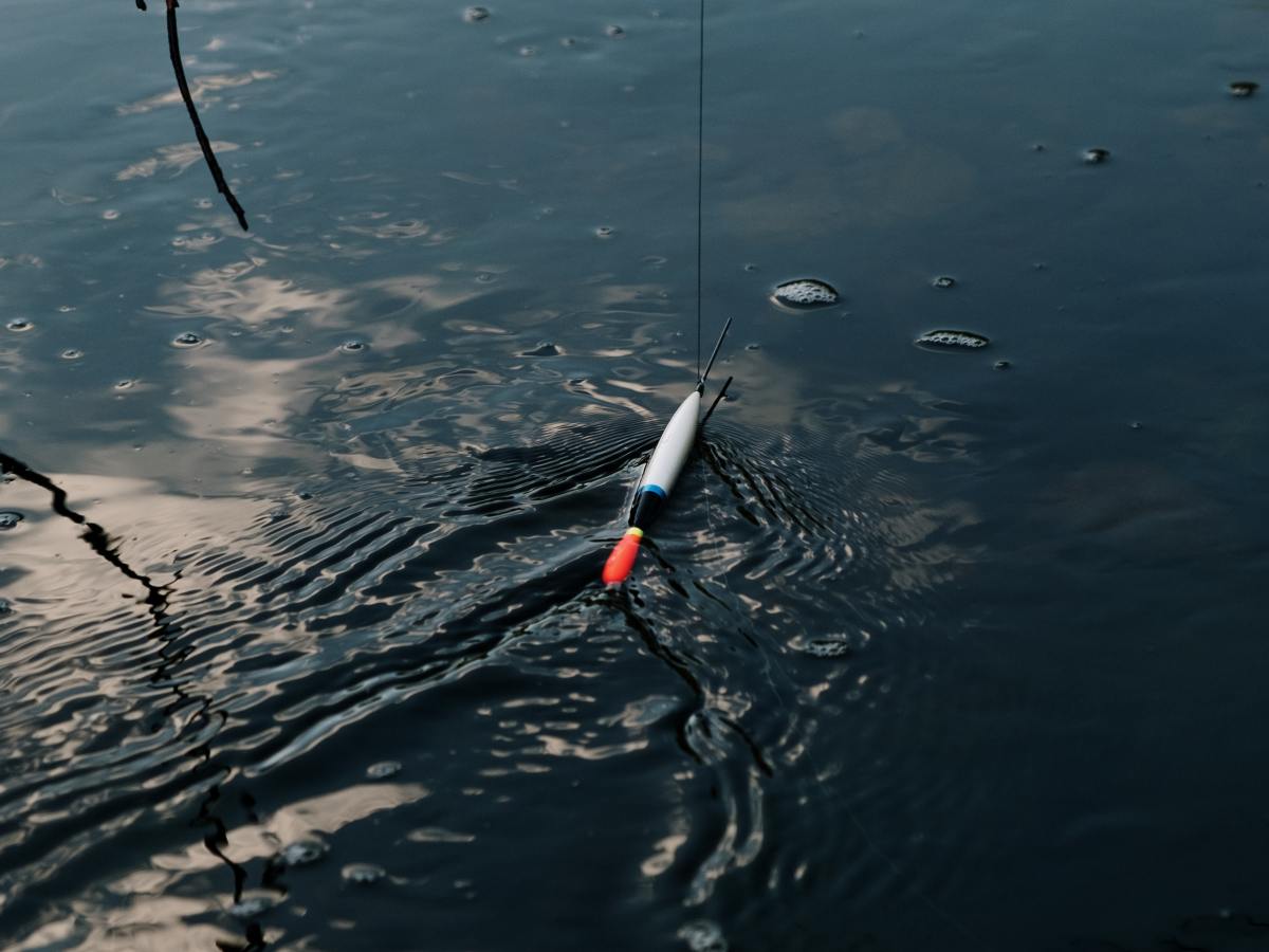 The Solomon Farm&nbsp;(Poem)